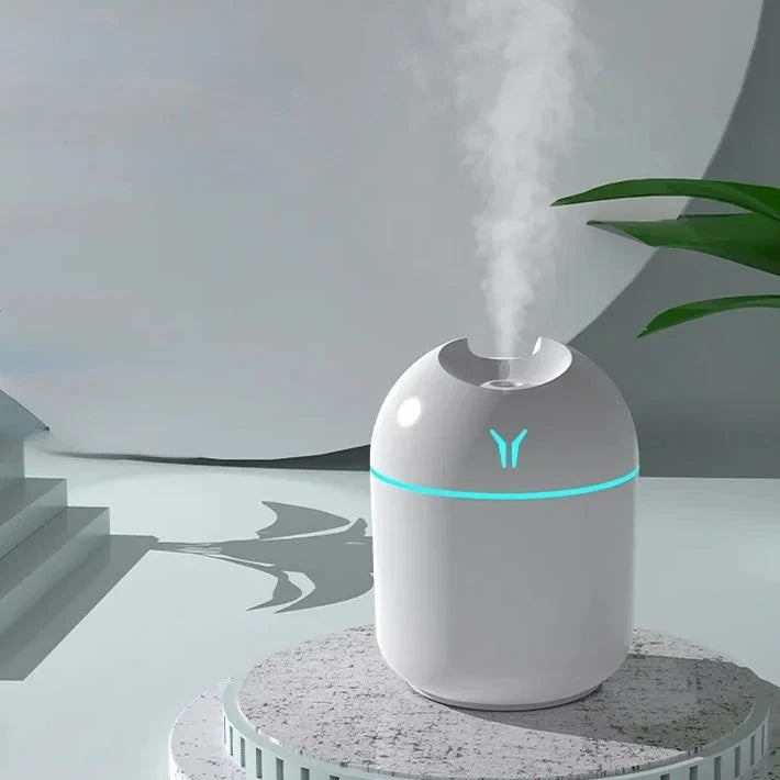 Mini Aromatic Humidifier